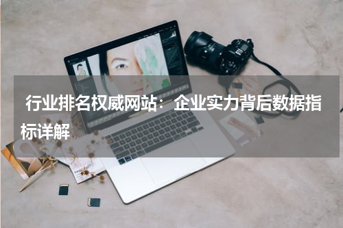  行业排名权威网站：企业实力背后数据指标详解