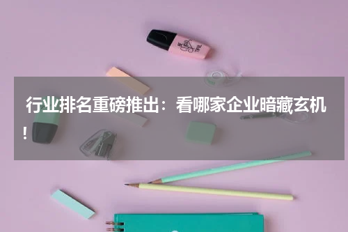  行业排名重磅推出：看哪家企业暗藏玄机！