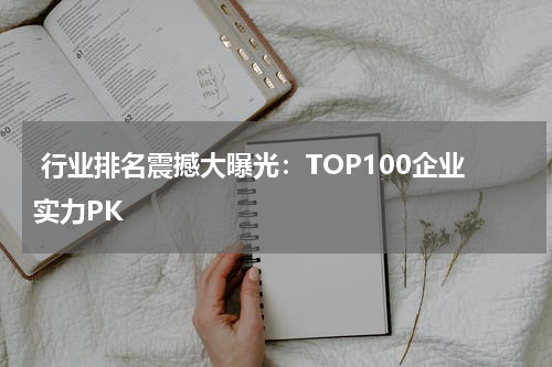  行业排名震撼大曝光：TOP100企业实力PK