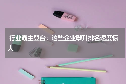  行业霸主登台：这些企业攀升排名速度惊人