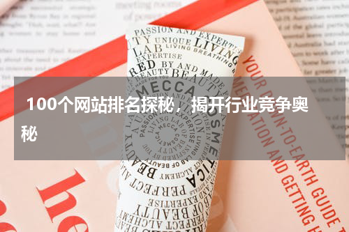  100个网站排名探秘，揭开行业竞争奥秘