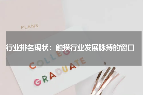  行业排名现状：触摸行业发展脉搏的窗口