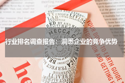  行业排名调查报告：洞悉企业的竞争优势