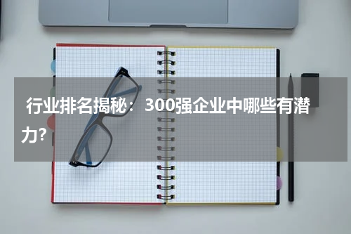  行业排名揭秘：300强企业中哪些有潜力？