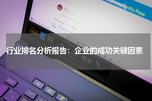 行业排名分析报告：企业的成功关键因素