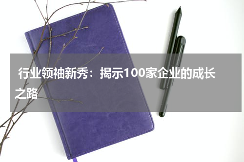  行业领袖新秀：揭示100家企业的成长之路