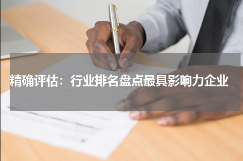  精确评估：行业排名盘点最具影响力企业