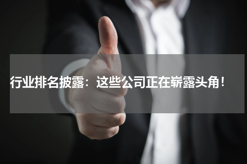  行业排名披露：这些公司正在崭露头角！