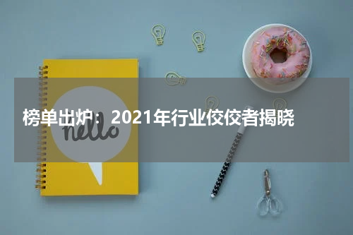  榜单出炉：2021年行业佼佼者揭晓