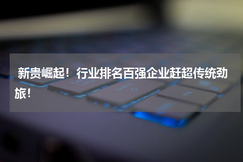  新贵崛起！行业排名百强企业赶超传统劲旅！