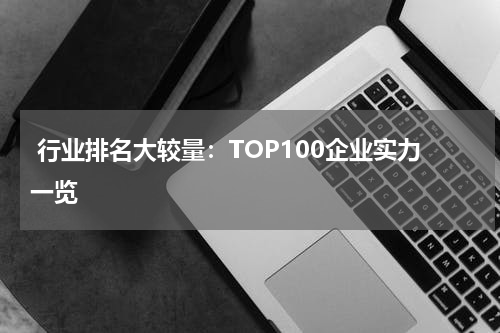  行业排名大较量：TOP100企业实力一览