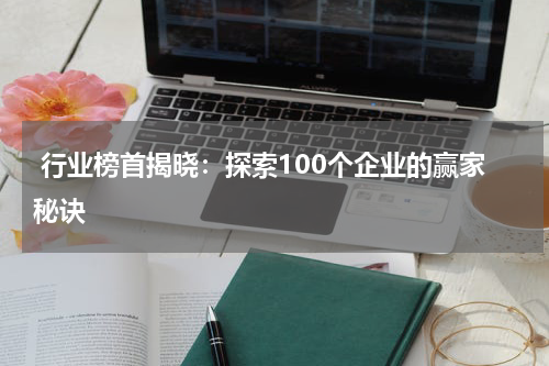  行业榜首揭晓：探索100个企业的赢家秘诀