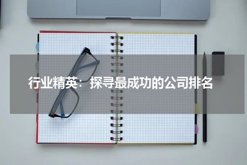  行业精英：探寻最成功的公司排名