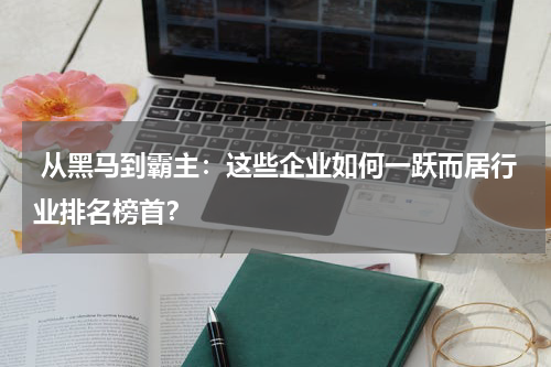  从黑马到霸主：这些企业如何一跃而居行业排名榜首？