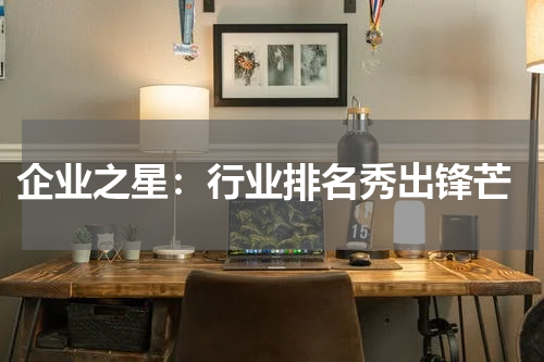  企业之星：行业排名秀出锋芒