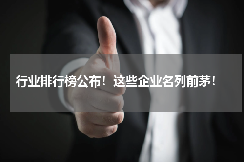  行业排行榜公布！这些企业名列前茅！