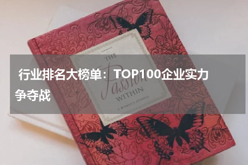  行业排名大榜单：TOP100企业实力争夺战