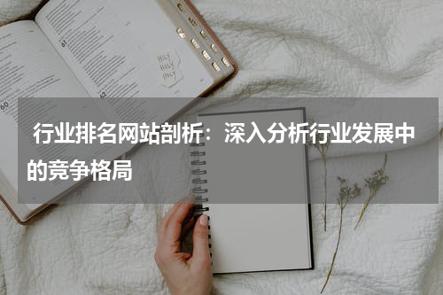  行业排名网站剖析：深入分析行业发展中的竞争格局