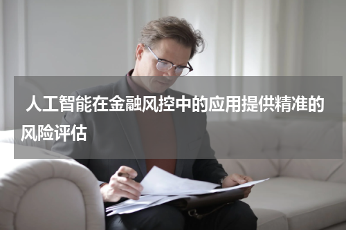  人工智能在金融风控中的应用提供精准的风险评估