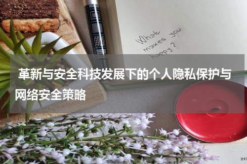  革新与安全科技发展下的个人隐私保护与网络安全策略