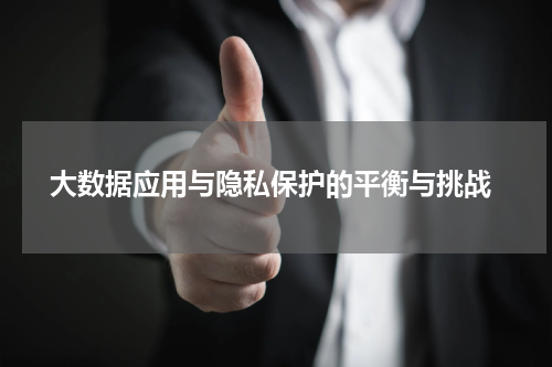  大数据应用与隐私保护的平衡与挑战