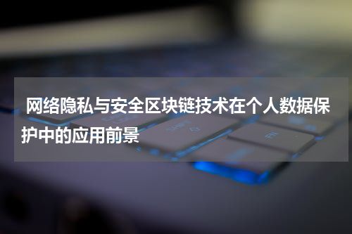  网络隐私与安全区块链技术在个人数据保护中的应用前景