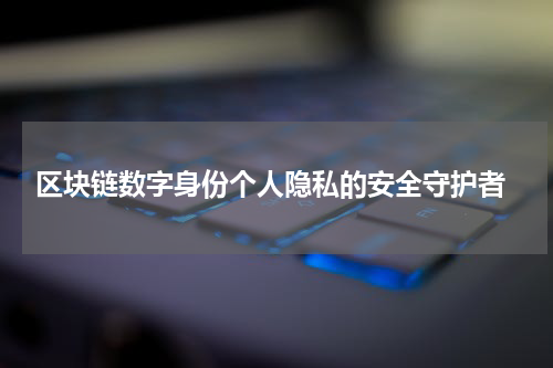  区块链数字身份个人隐私的安全守护者