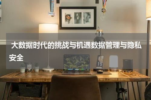  大数据时代的挑战与机遇数据管理与隐私安全
