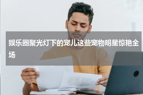娱乐圈聚光灯下的宠儿这些宠物明星惊艳全场