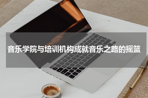 音乐学院与培训机构成就音乐之路的摇篮