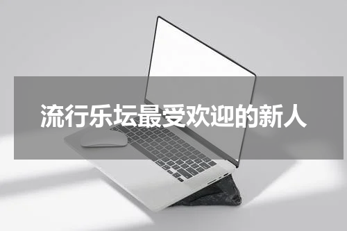 流行乐坛最受欢迎的新人