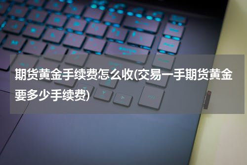 期货黄金手续费怎么收(交易一手期货黄金要多少手续费)