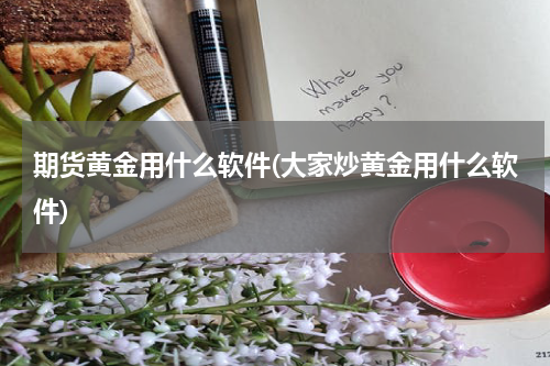 期货黄金用什么软件(大家炒黄金用什么软件)