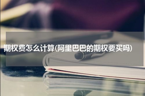 期权费怎么计算(阿里巴巴的期权要买吗)