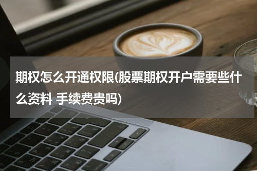 期权怎么开通权限(股票期权开户需要些什么资料 手续费贵吗)