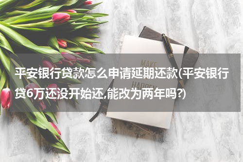 平安银行贷款怎么申请延期还款(平安银行贷6万还没开始还,能改为两年吗?)