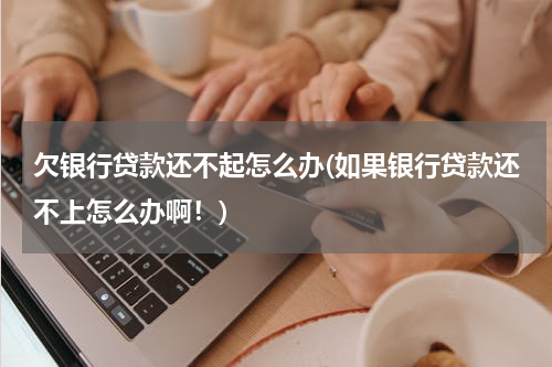 欠银行贷款还不起怎么办(如果银行贷款还不上怎么办啊！)