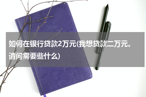 如何在银行贷款2万元(我想贷款二万元。请问需要些什么)