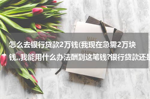 怎么去银行贷款2万钱(我现在急需2万块钱,,我能用什么办法酬到这笔钱?银行贷款还是信用卡?)