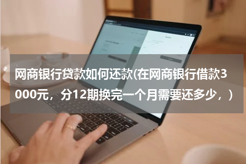 网商银行贷款如何还款(在网商银行借款3000元，分12期换完一个月需要还多少，)
