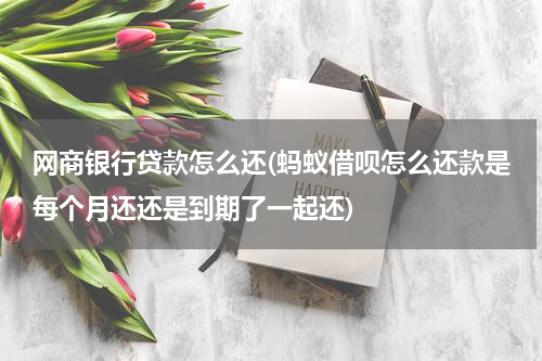 网商银行贷款怎么还(蚂蚁借呗怎么还款是每个月还还是到期了一起还)