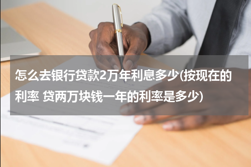 怎么去银行贷款2万年利息多少(按现在的利率 贷两万块钱一年的利率是多少)