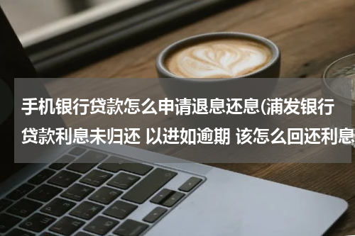 手机银行贷款怎么申请退息还息(浦发银行贷款利息未归还 以进如逾期 该怎么回还利息)