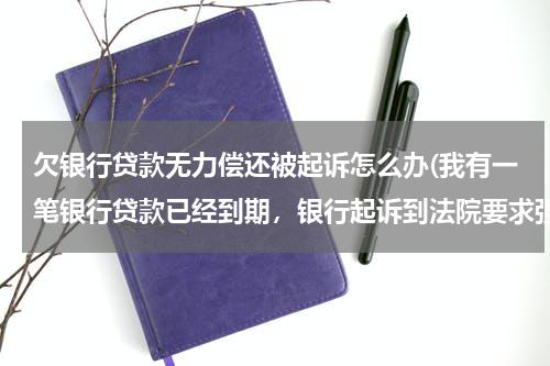 欠银行贷款无力偿还被起诉怎么办(我有一笔银行贷款已经到期，银行起诉到法院要求强制执行，但我确实无支付能力，这种情况银行会如何处理？)