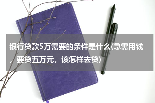 银行贷款5万需要的条件是什么(急需用钱，要贷五万元，该怎样去贷)