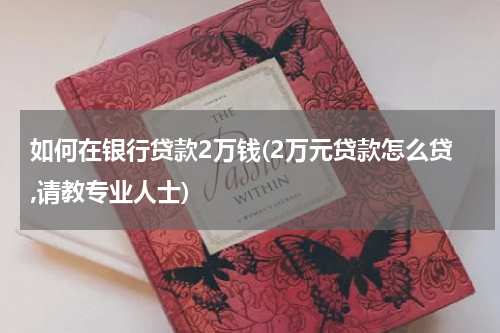 如何在银行贷款2万钱(2万元贷款怎么贷,请教专业人士)