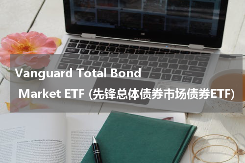Vanguard Total Bond Market ETF (先锋总体债券市场债券ETF)