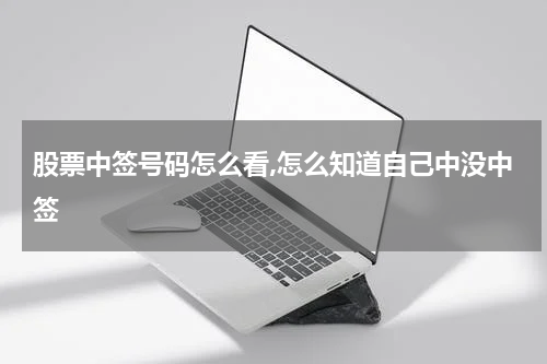 股票中签号码怎么看,怎么知道自己中没中签