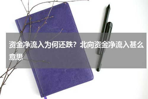 资金净流入为何还跌？北向资金净流入甚么意思