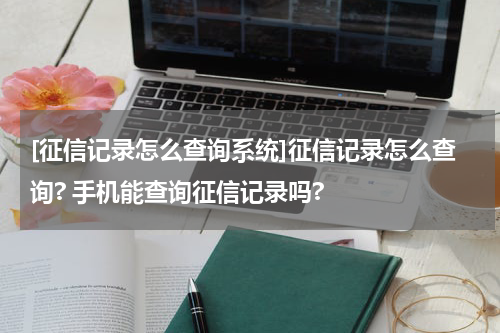 [征信记录怎么查询系统]征信记录怎么查询? 手机能查询征信记录吗?